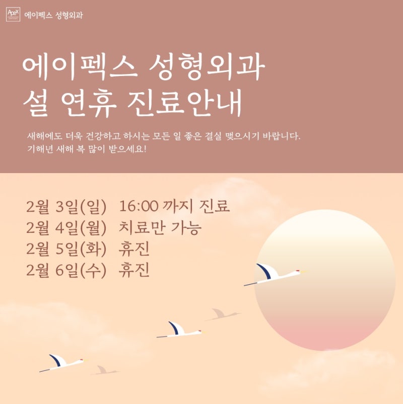 에이펙스 성형외과 설날 휴진안내