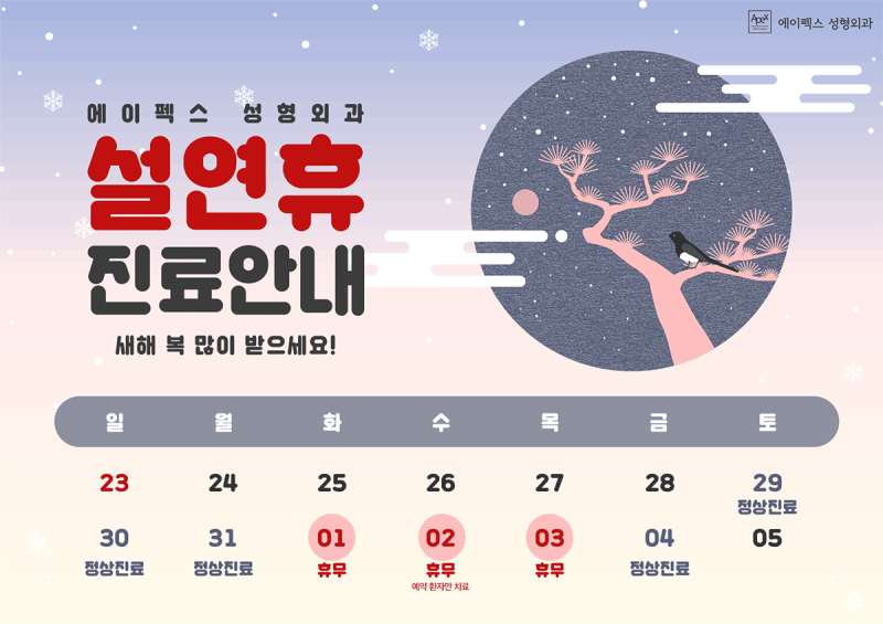 에이펙스성형외과 ☆2022설연휴 진료 안내☆