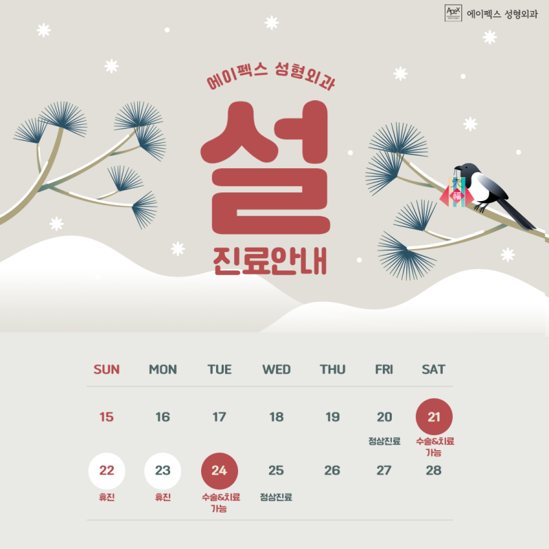 에이펙스성형외과 설연휴 진료 안내