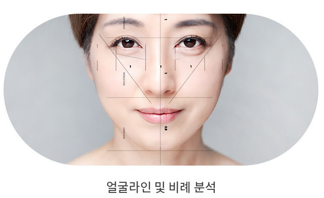완벽한 얼굴 비율 미인, 전체적인 얼굴의 조화를 고려한 완벽한 각도와 높이 "에이펙스성형외과"