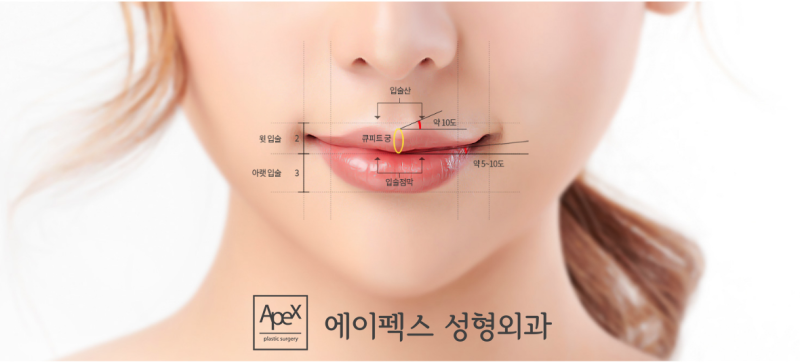 하안부 얼굴 비율, 인중축소&입술성형 "에이펙스성형외과"