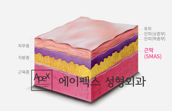 단단히 당기고 고정하여 피부를 탄력있게 잡아주는 에이펙스성형외과 페이스리프팅!