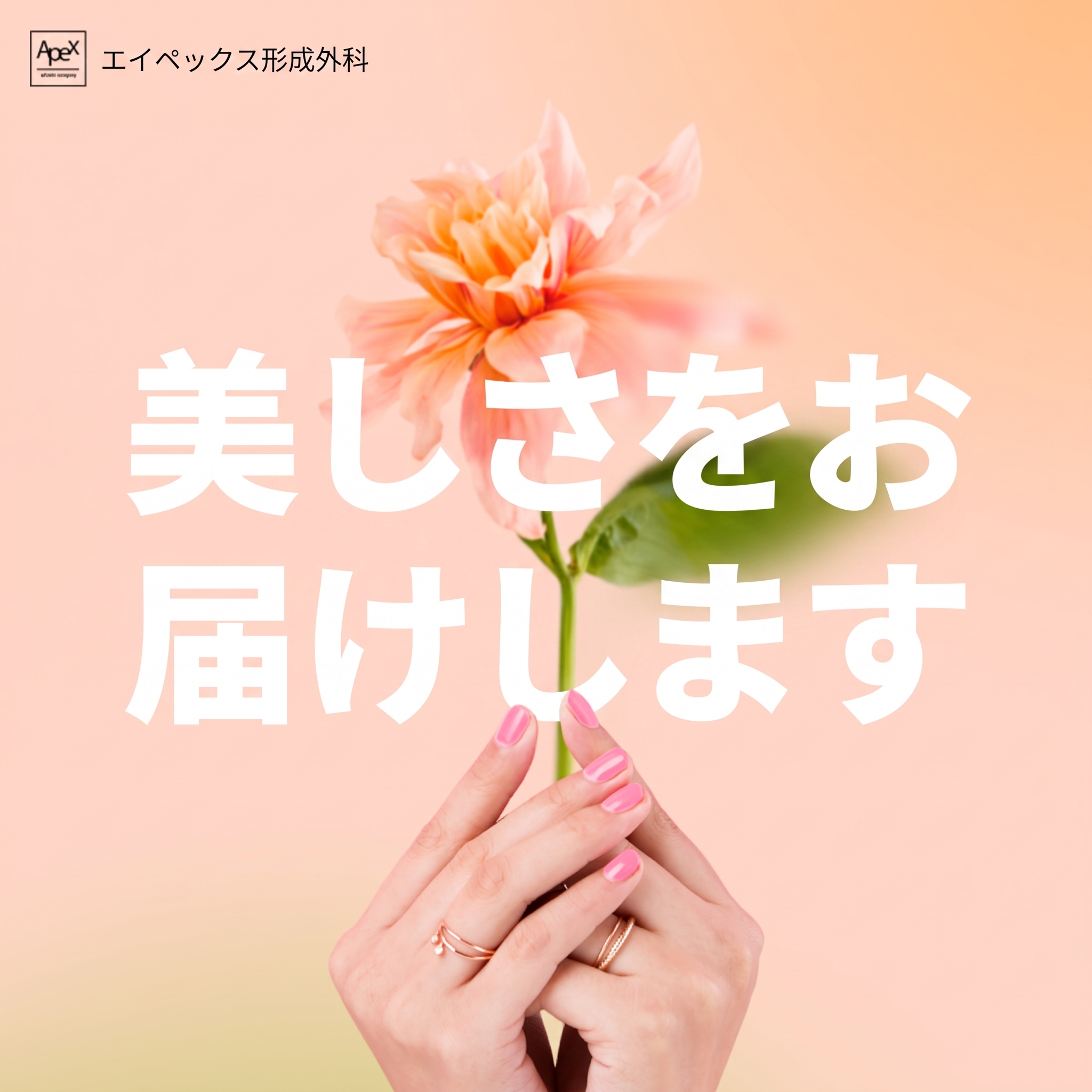 鼻先形成、小鼻縮小、立体的な顔立ちのための鼻整形「エイペックス美容外科」 사진 5